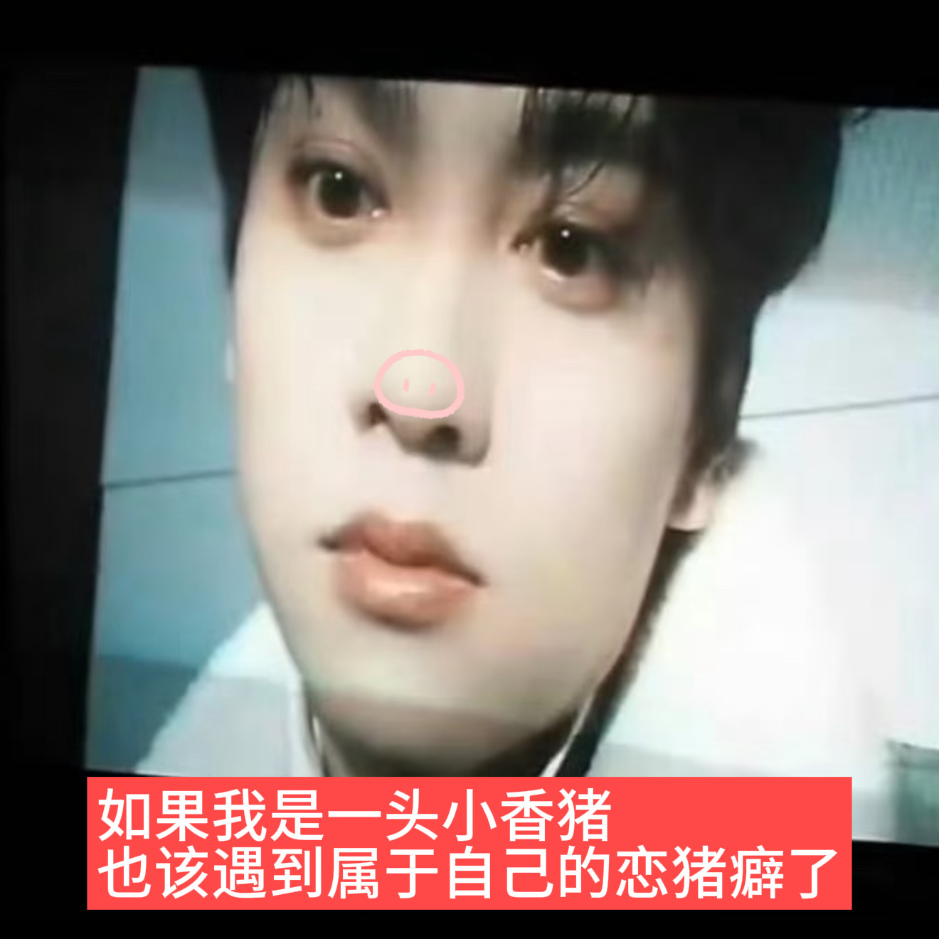 猪塑终于迎来大胜利 