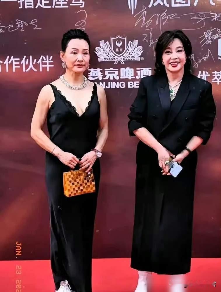 这是2023年华表奖颁奖典礼上的陈冲和刘晓庆。

两个人合作的第一部影片就是曾经