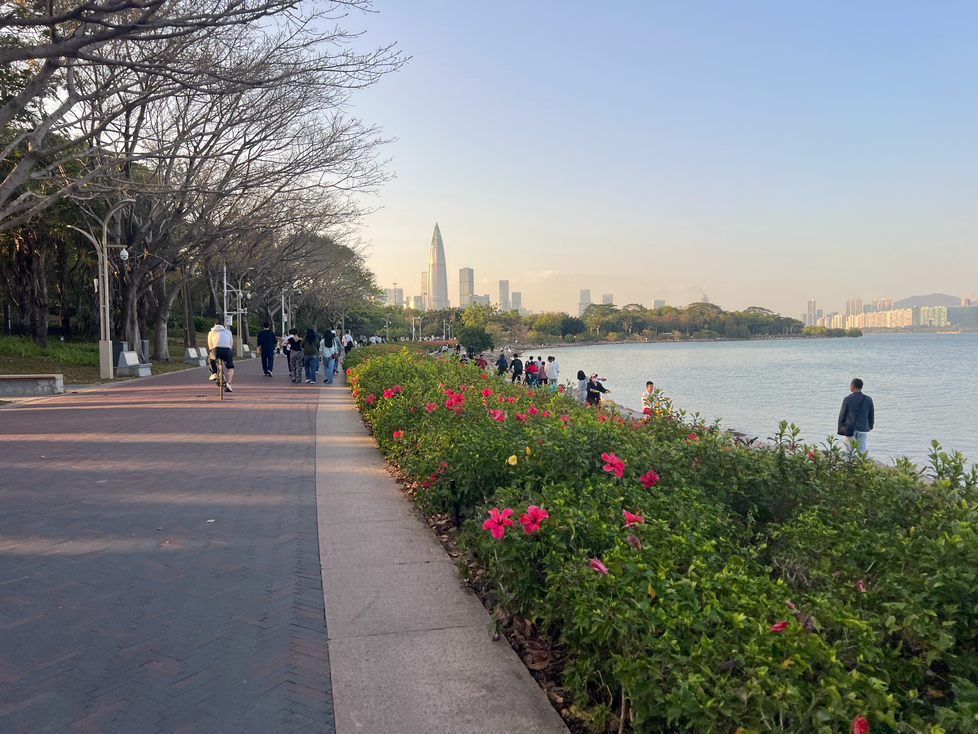 生活从不会亏待认真的人，今日的每一份付出，都是明日惊喜的伏笔。不必焦虑花期，专注