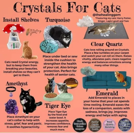 猫咪专属水晶疗愈