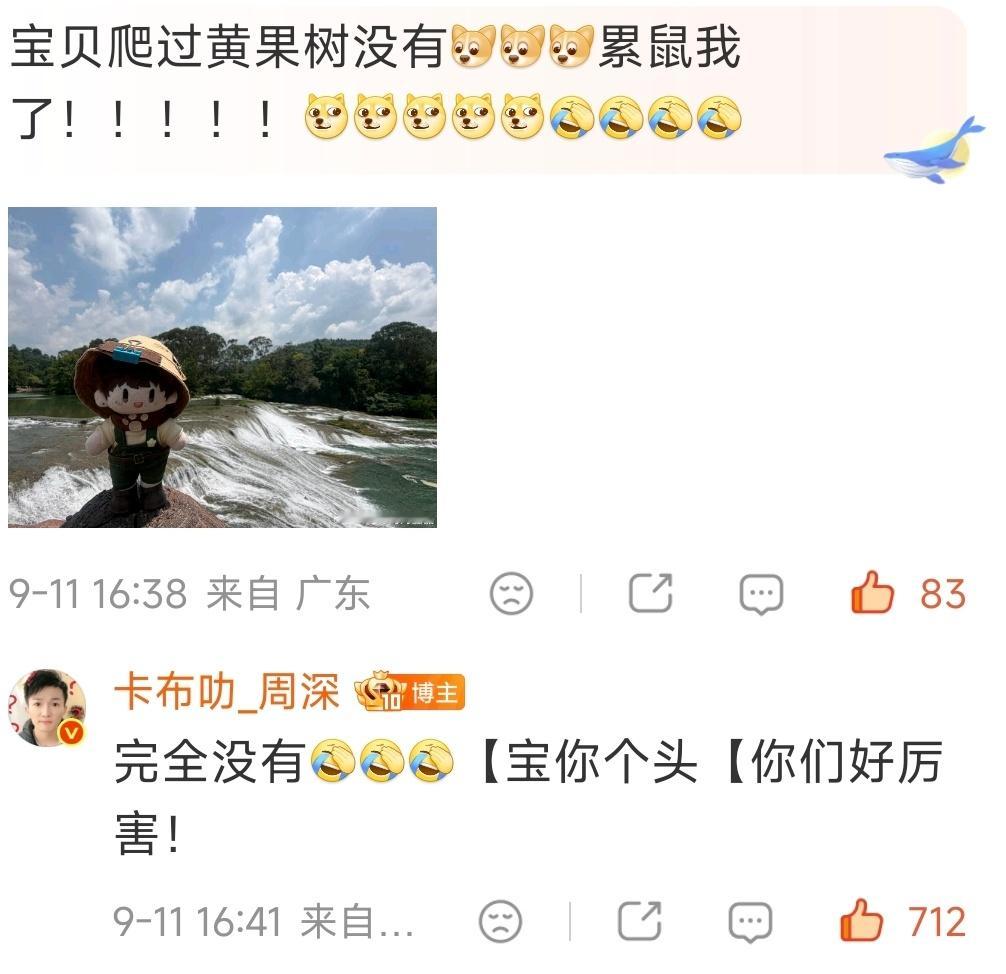 观回复有感是不是不管在哪儿，大家都没怎么去过自己家附近的旅游景区[柯基] ​​​