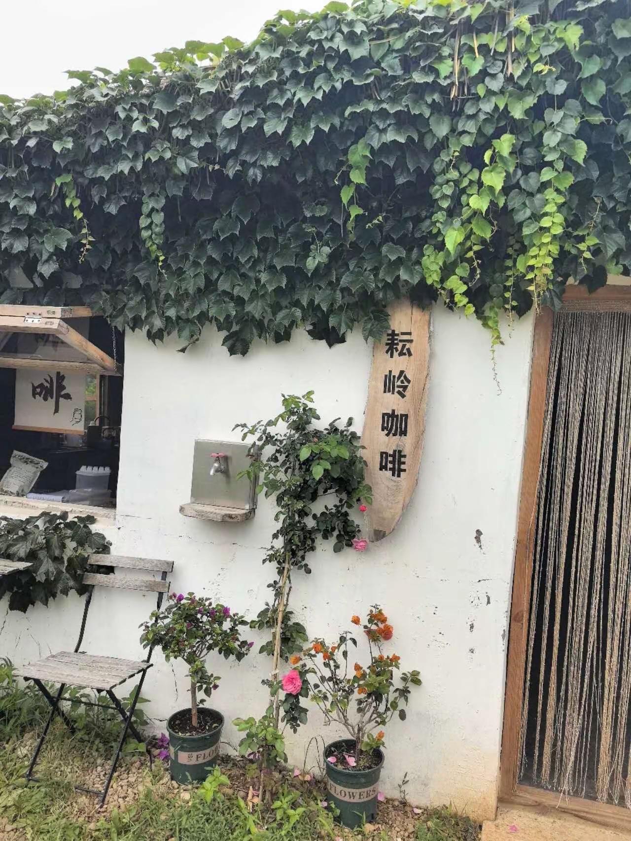 除了真诚，不接受任何人的表演人性这一刻我已经交过卷了