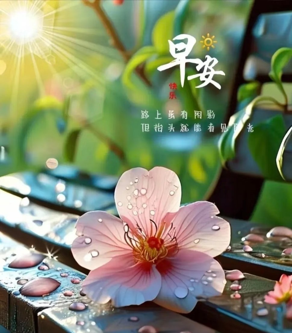 大家早上好在线的168都刷起来，铁粉太少了，都起来多评论多转发多点赞成为铁粉才能