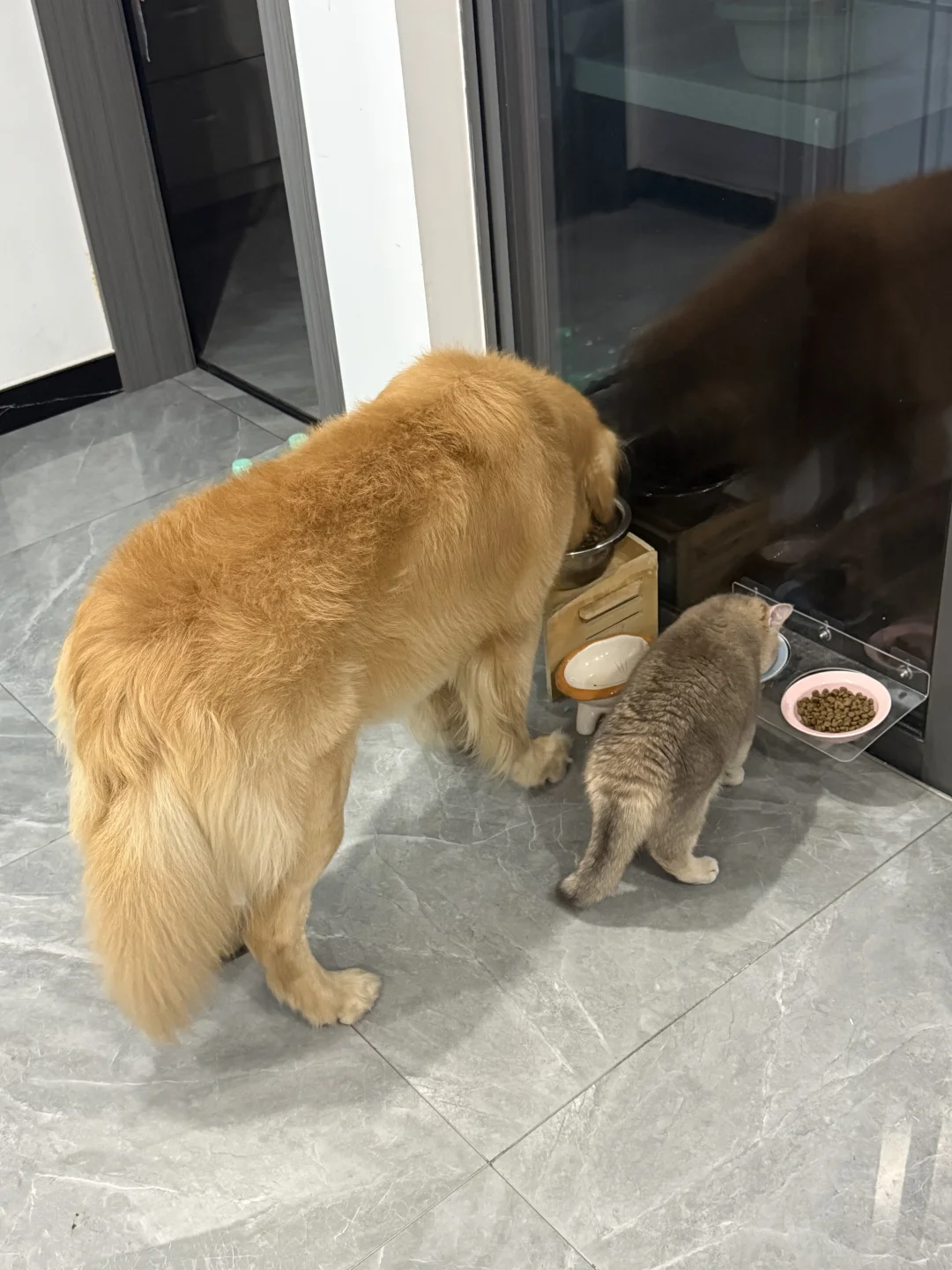 两小🐷同步干饭中…