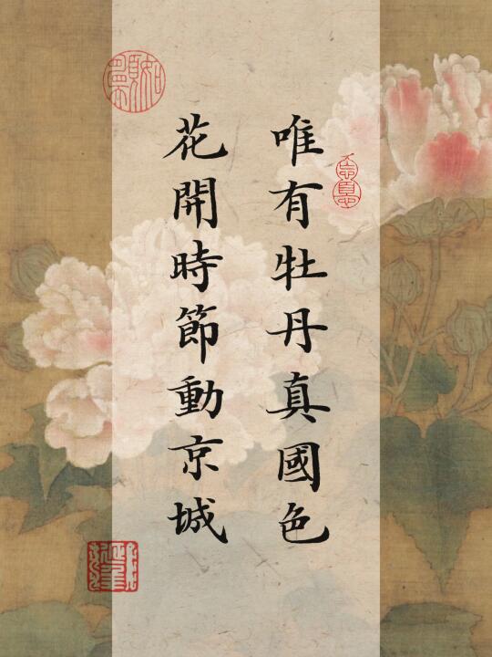 古风小楷壁纸|是属于东方的牡丹浪漫♥️