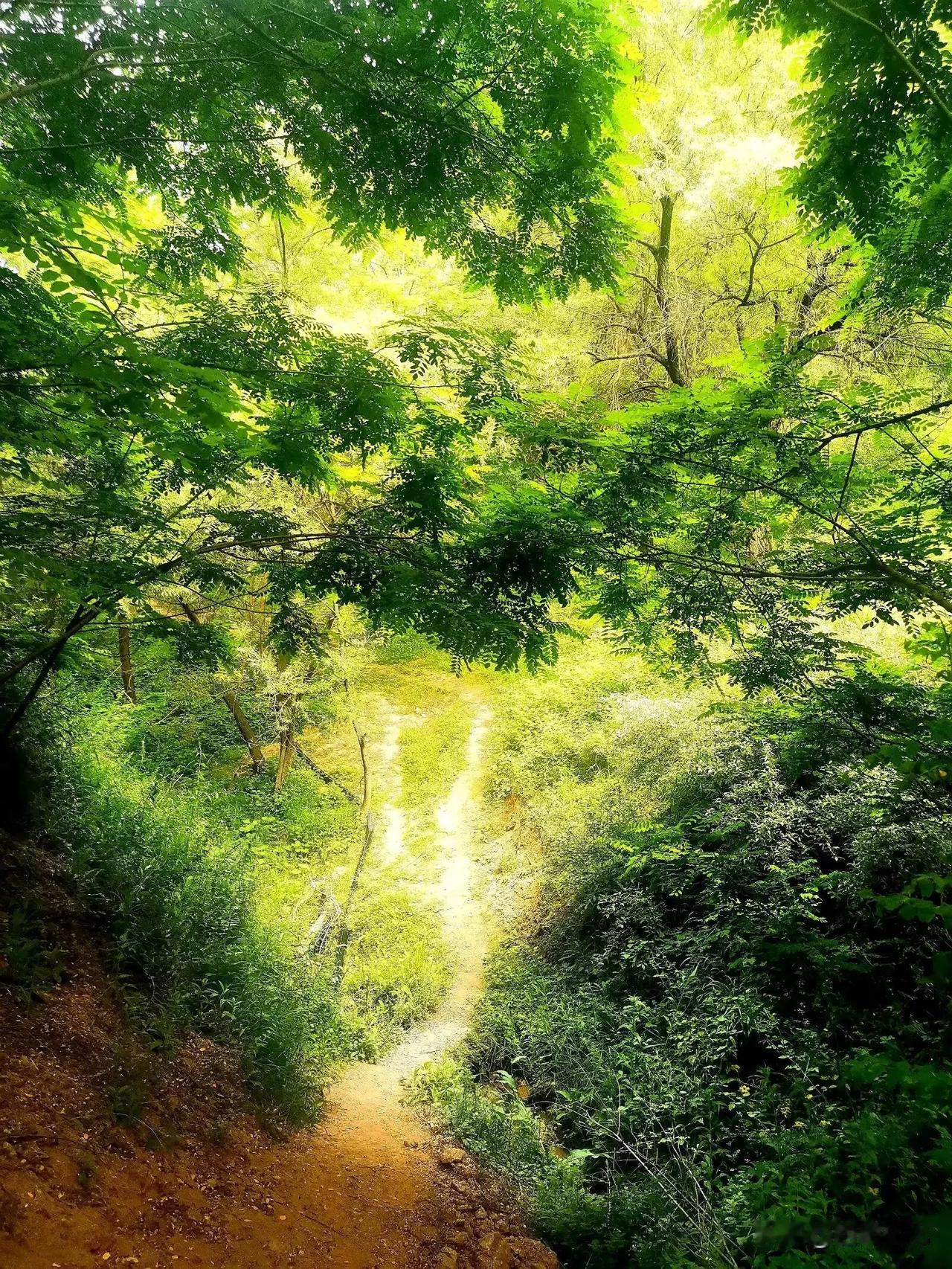 祁家沟记

木门月


乾隆《陇西县志》载：“齐家沟，距城东三十里，源出翠屏山，