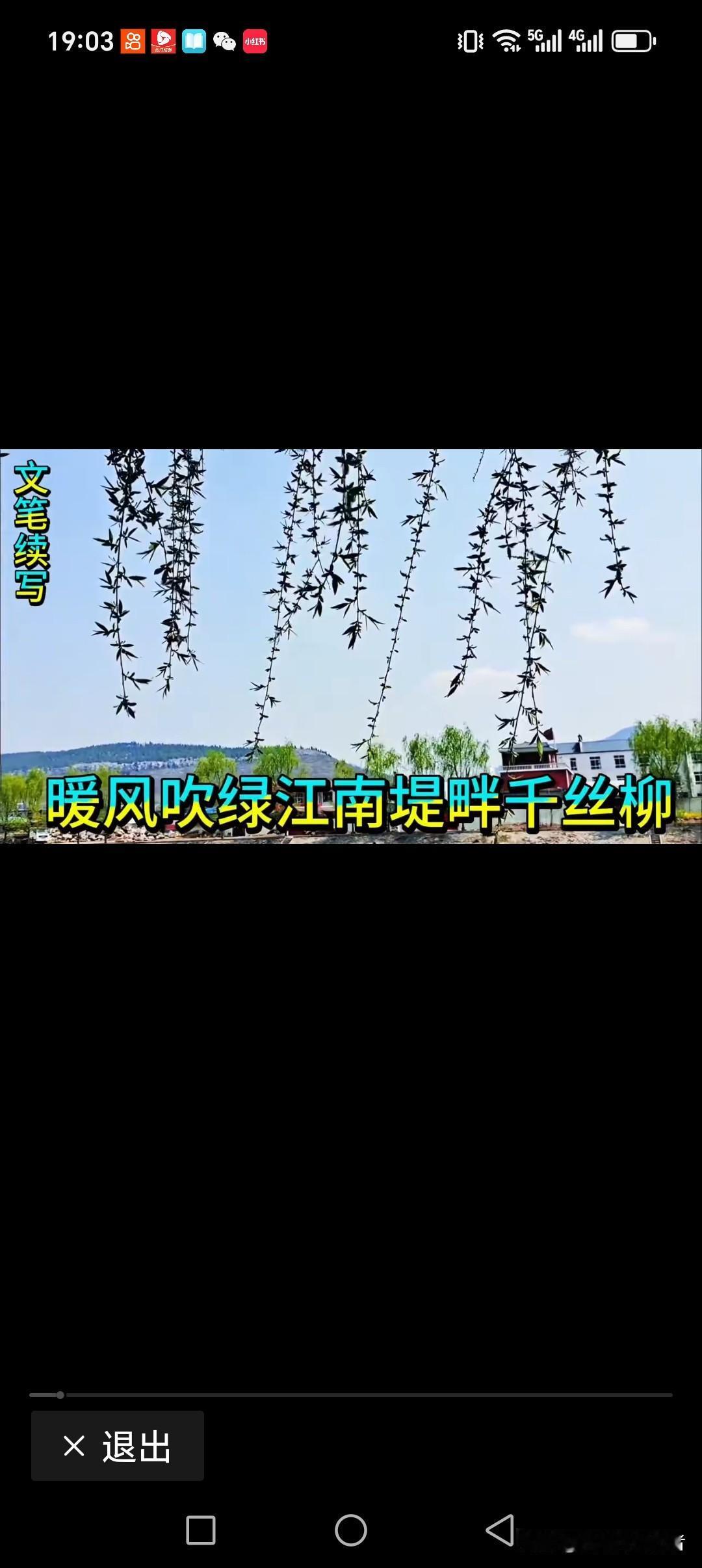 暖风吹绿江南堤畔千丝柳
冷雪飘白江北大地一片银