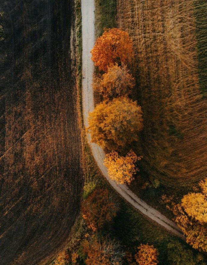 每次归程，都是为了更好出发；每次停歇，都是为了积攒力量。 ​ ​​​