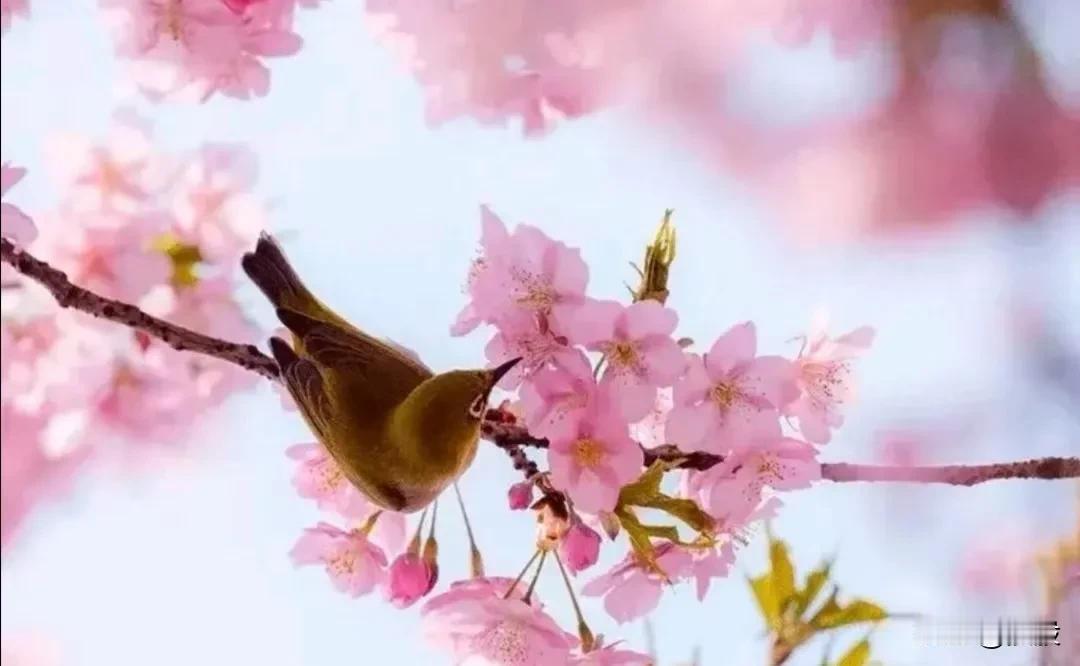 #你最喜欢的一句话#
弘一法师:你以为错过了就是遗憾，其实可能是躲过了一劫，别贪