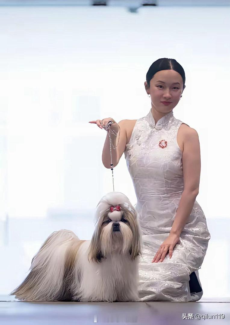 霍思燕是不是只要携狗参赛必穿旗袍！ 