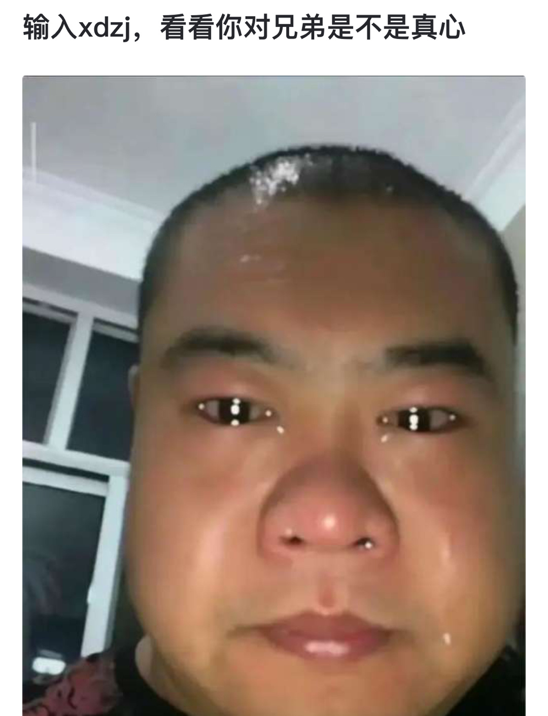 输入xdzj，看看你对兄弟是不是真心 ​​​