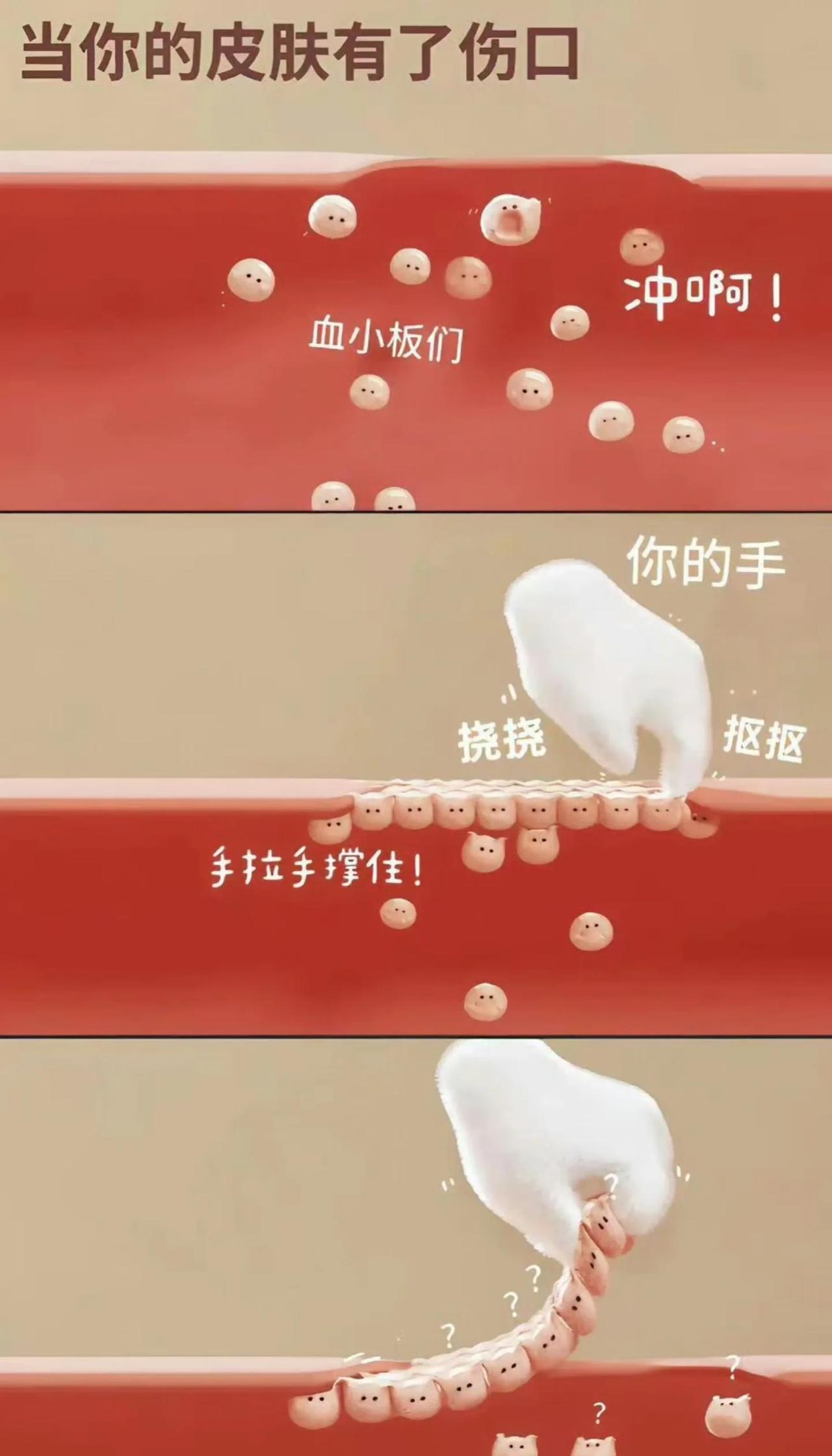 好可爱
此图有梗 梗图 小tips 可可爱爱