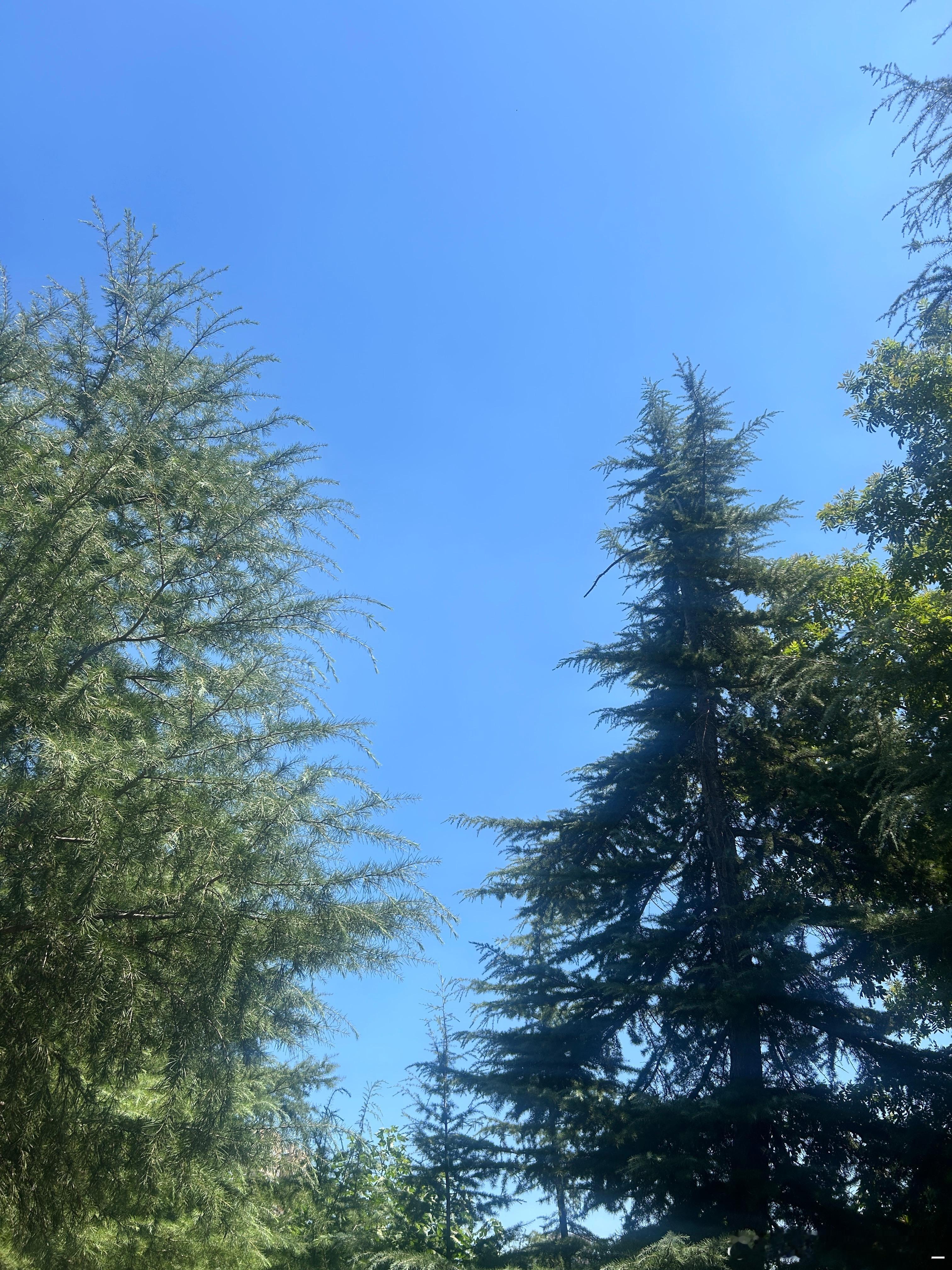 你好。九月。或许。新的故事。会在秋风中慢慢开始🍂一起迎接美好的九月。早安。 ​