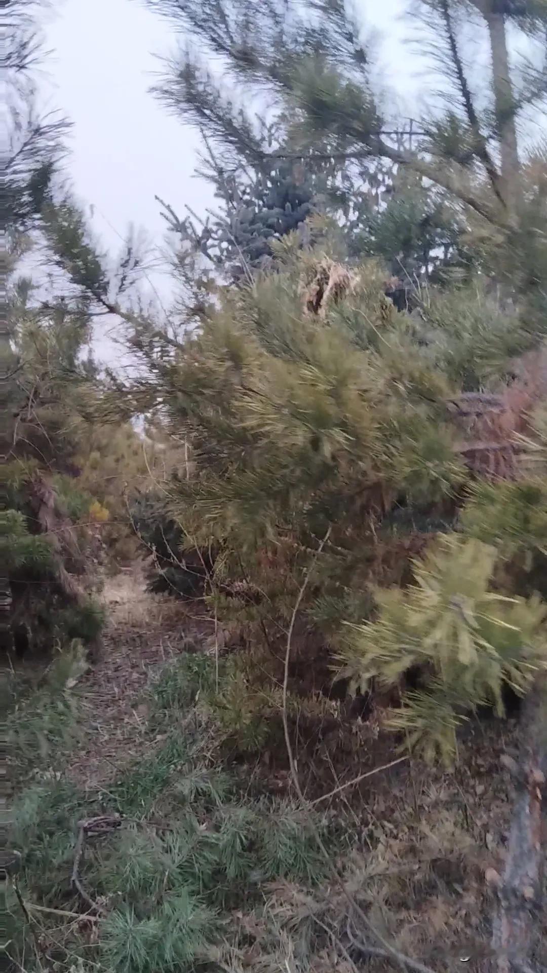 拍一张我的城市美景