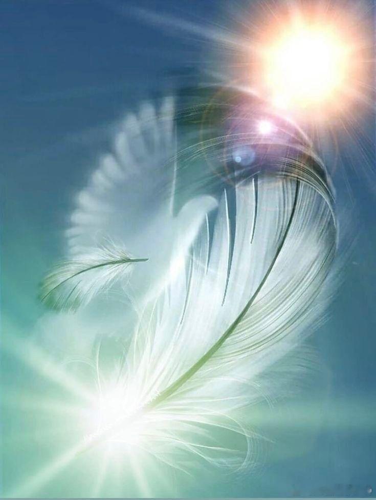 观察。透过缝隙，拨开迷雾，看清表象之外。真相终会显现。 