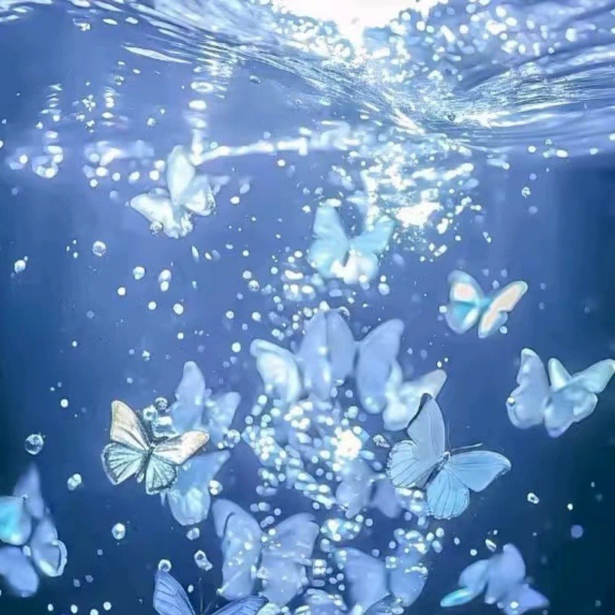 ⁺๑⃙⃘₊————꒰ঌ 小猫✝︎世界 ໒꒱ྀི————๑⃙⃘₊⁺        