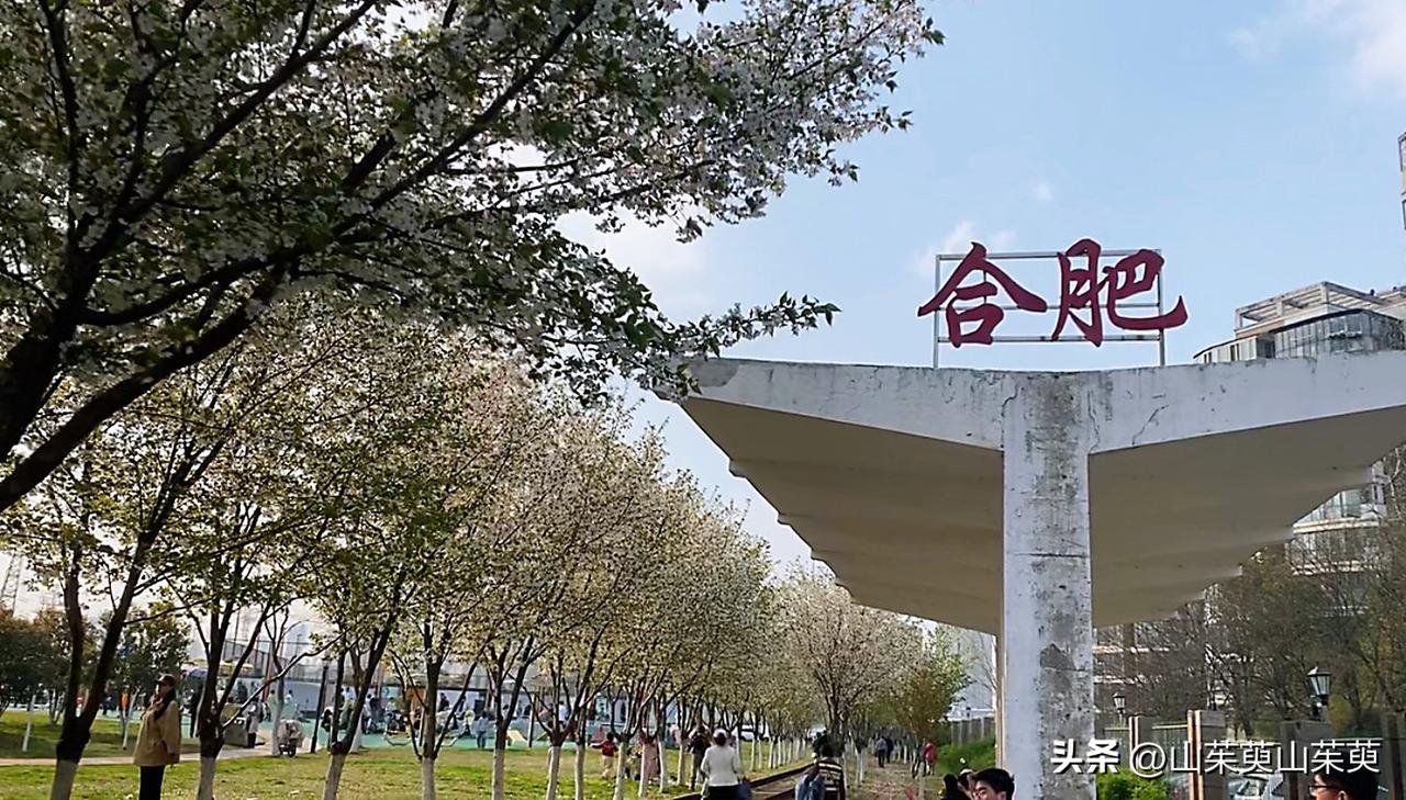 谜底终于揭晓了，是樱花！
去年2月初从这里路过，发现一段铁路，两边树木林立，
我