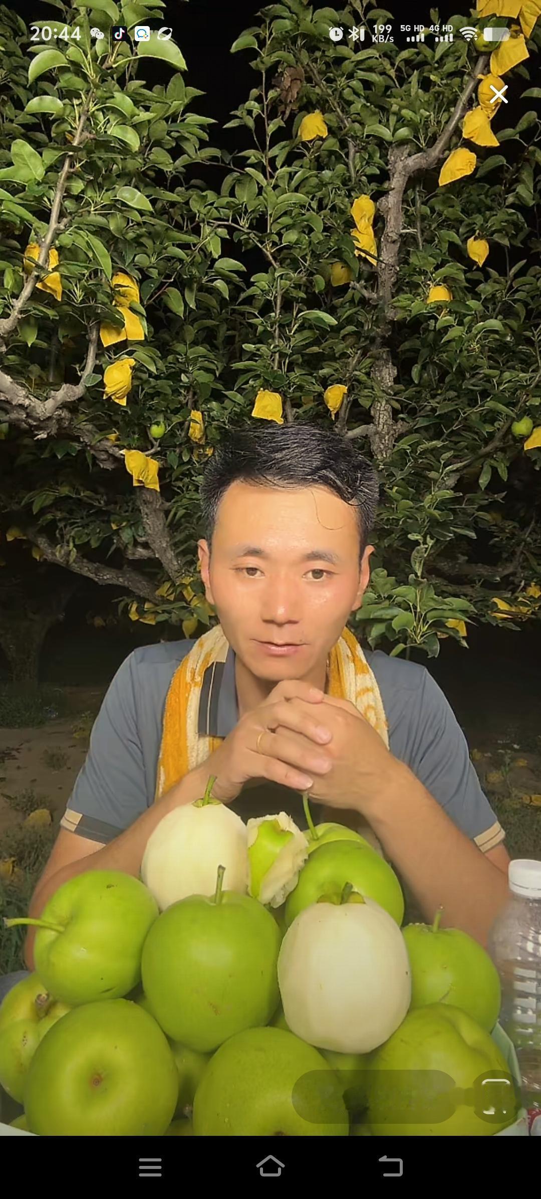 他们都是寻亲上岸家庭，厉怀远找到了他失散30年的爸爸妈妈，谢浩男的妈妈去年成功寻