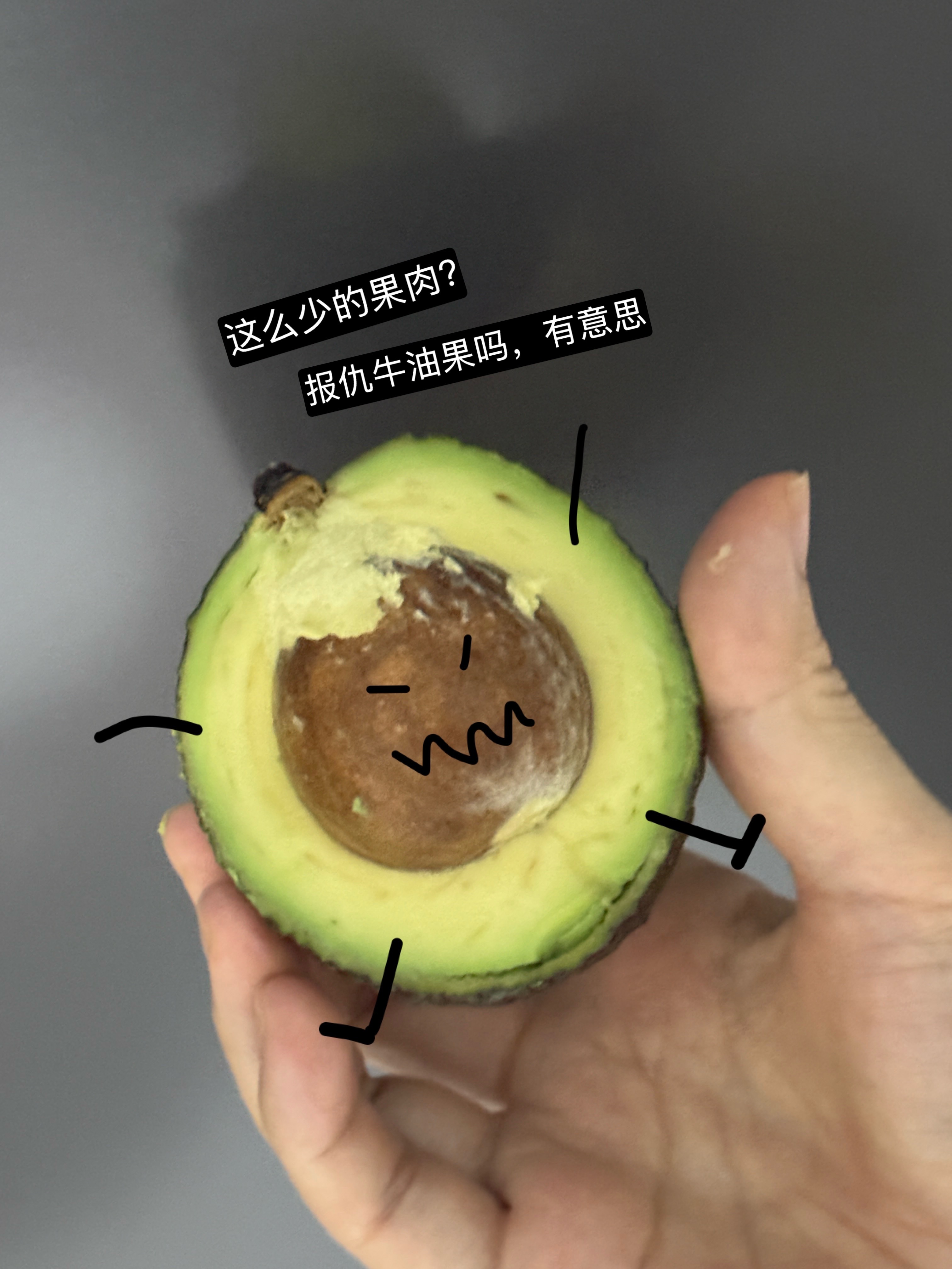 魔魔日记本 又是想猫想狗的一天 