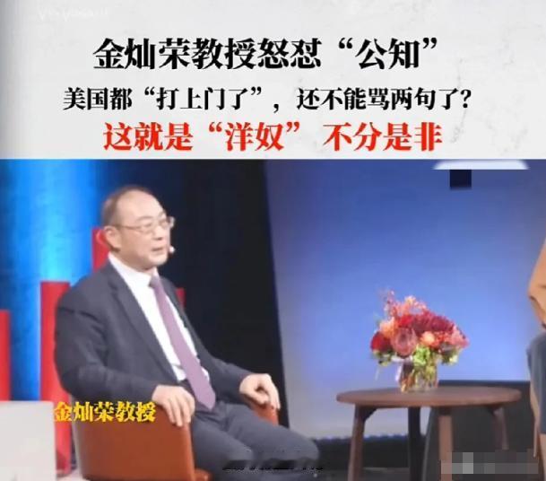 著名教授金灿荣评“公知”：国内有些人，对西方很崇拜，觉得凡事不能得罪西方，骂美国