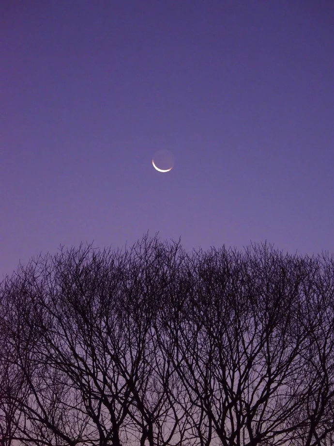 无论什么地方，只要你爱它，它就是你的世界。——王尔德《快乐王子》 ​​​