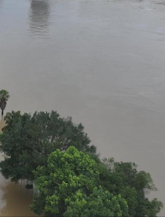 村民早稻因这几天大暴雨大部分被洪水淹了，有可能颗粒无收了。

昨天我们高高兴兴想