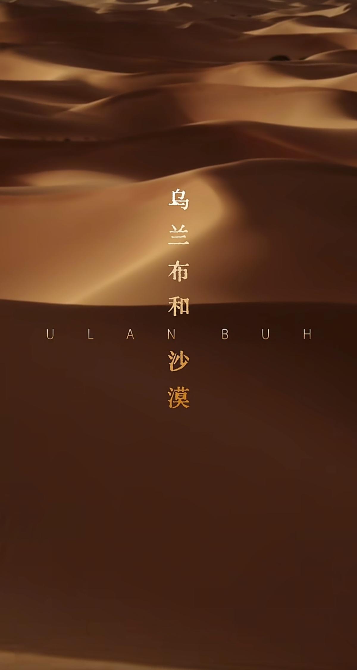 一起期待，落日蓝调时刻
        风起乌兰布和，围坐之间，听时间把答案轻轻