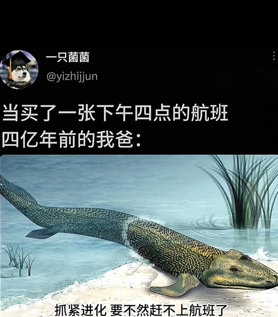 当我买了一张下午四点的航班： ​​​