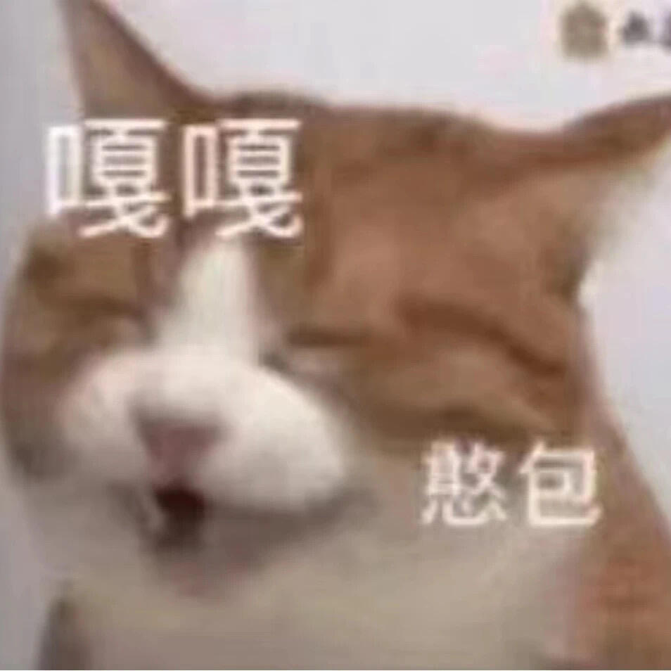 𝙎𝙝𝙖𝙧𝙚 🟠 小可爱猫咪表情包 