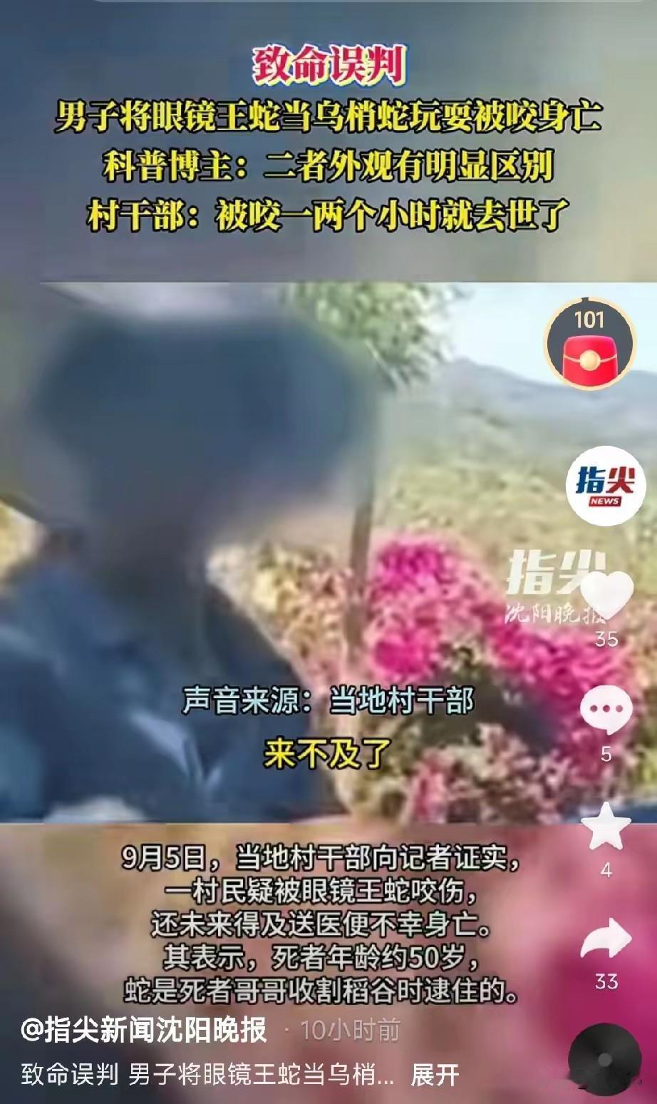 太惨了！贵州黔西南一位大哥在收稻子时抓到一条蛇，弟弟一看，还以为是没毒的乌梢蛇，