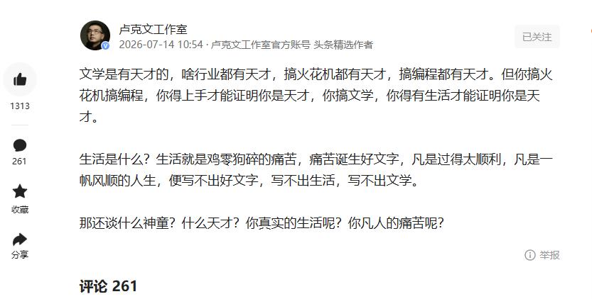 卢克文的分析很有参考性，他认为蒋方舟近些年缺少有分量的作品，和长期安稳顺遂的生活