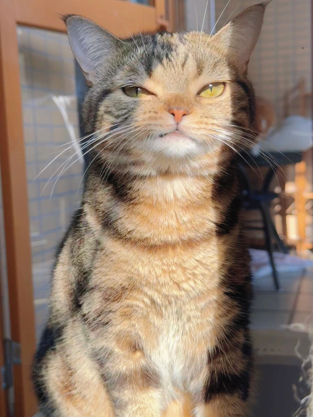 小说里霸道总裁的感觉有了