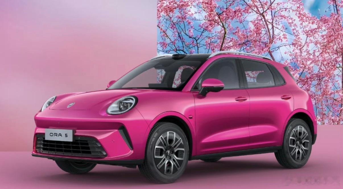 刚看长城欧拉5上市了，限时换新价9.18万元起。价格和配置都还可以，就是这个外观