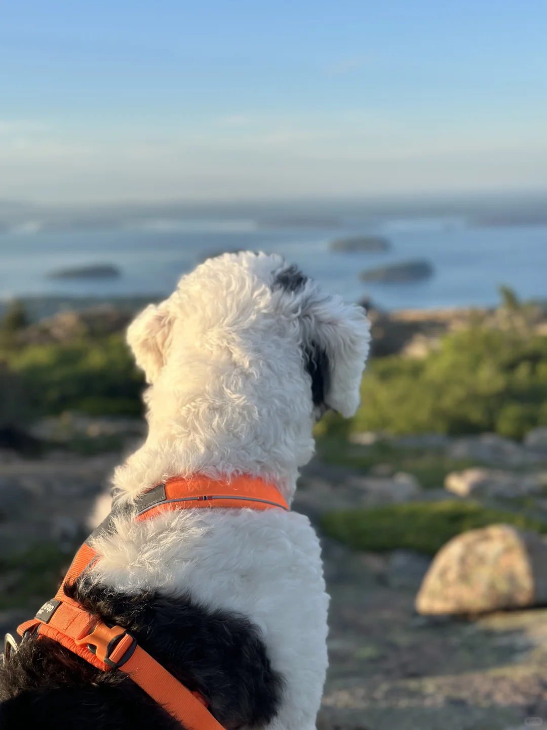 写在考Bar一周年之际…