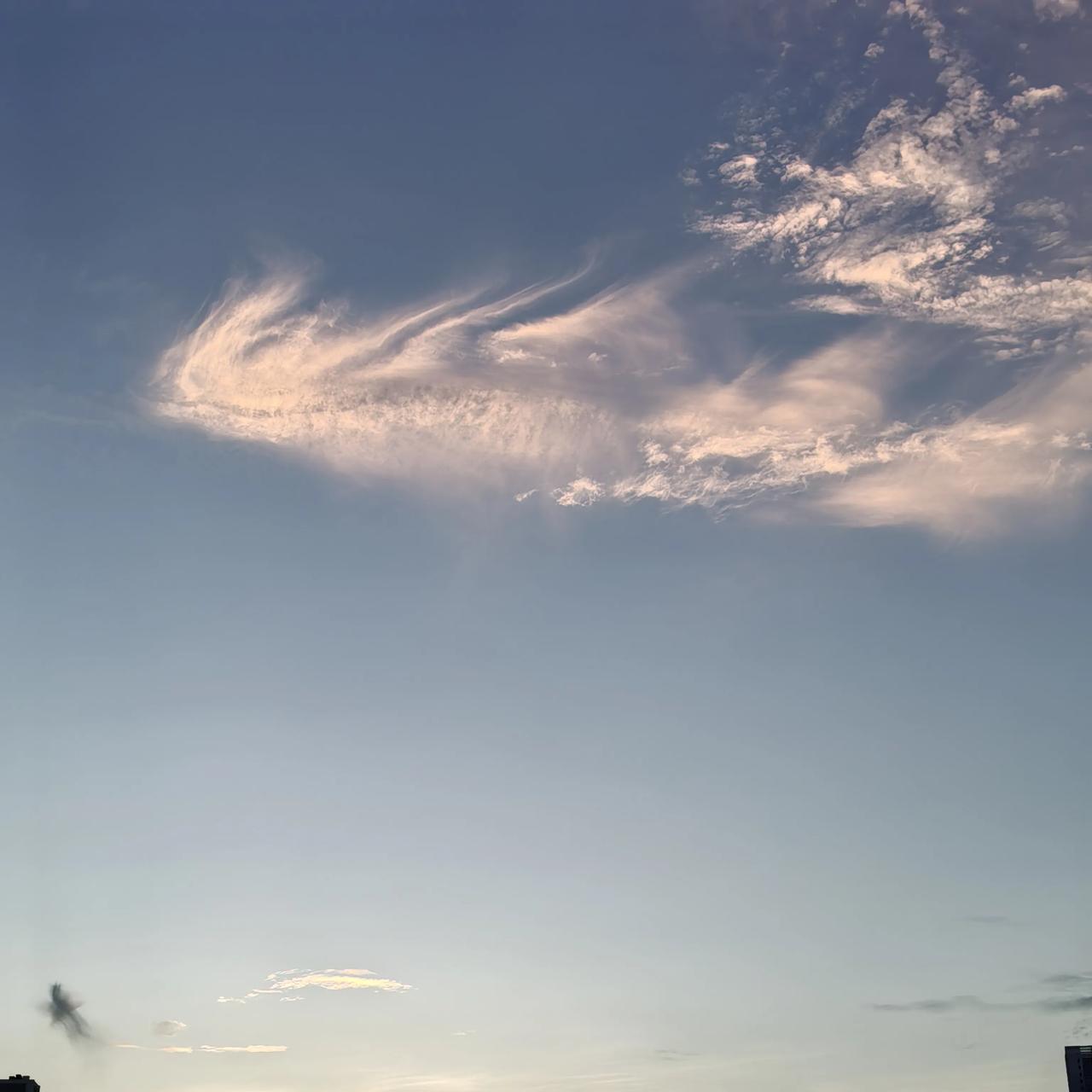 今天的云真好看，像一只凤凰和一个鬼