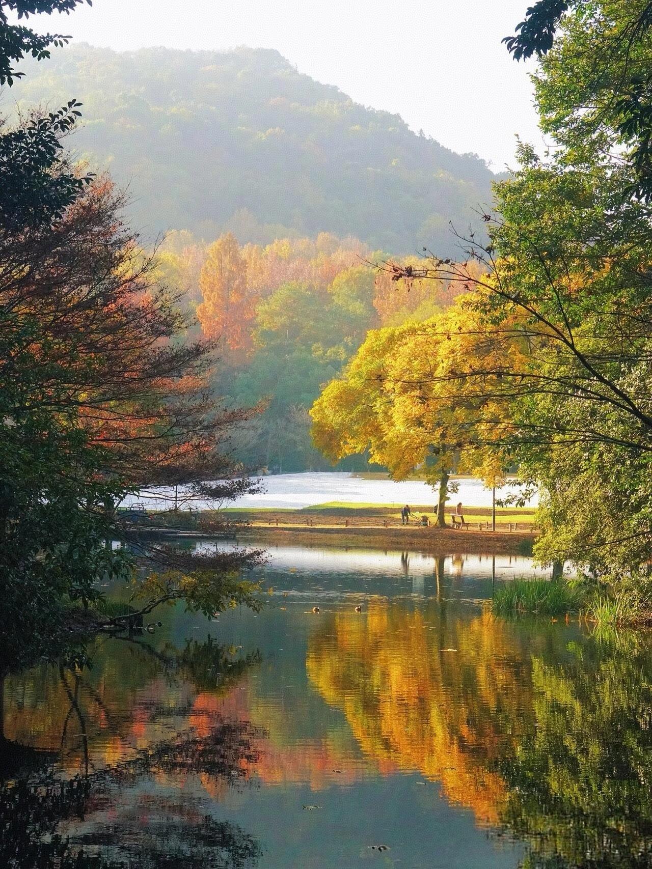 老师最开心的事情就是学生有了进步，刚刚 29 中的一个高三的学生家长给我发来消息