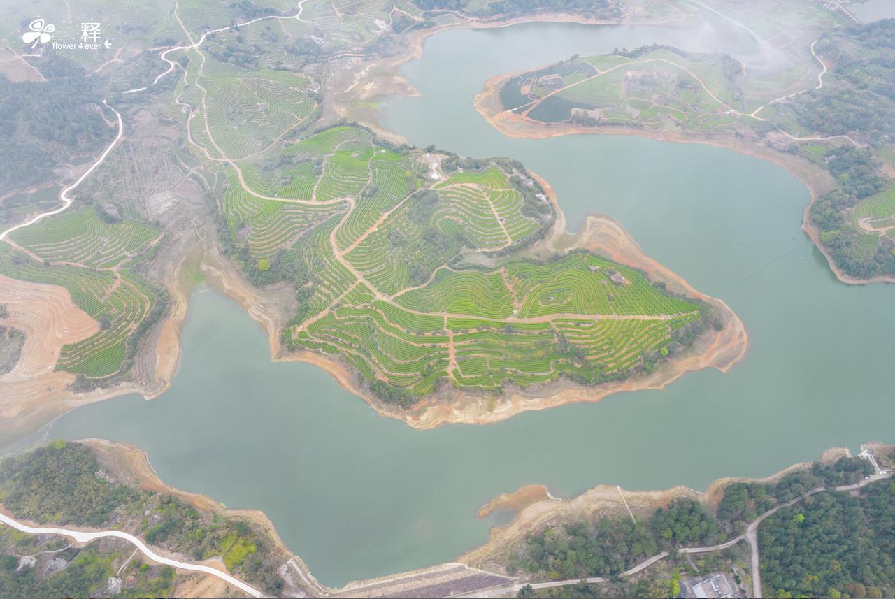 零负债，没有房贷没有车贷，如今最滋润的是农村人
当城市里的人每天996，拼命打工