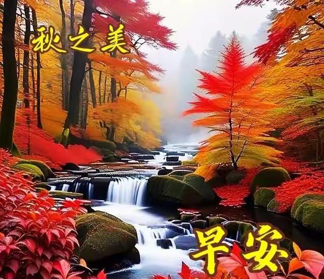 南浦诗联微信群交流录36

作者：杨孝儒
游峨眉山

办完业务爽精神，老朽回眸几