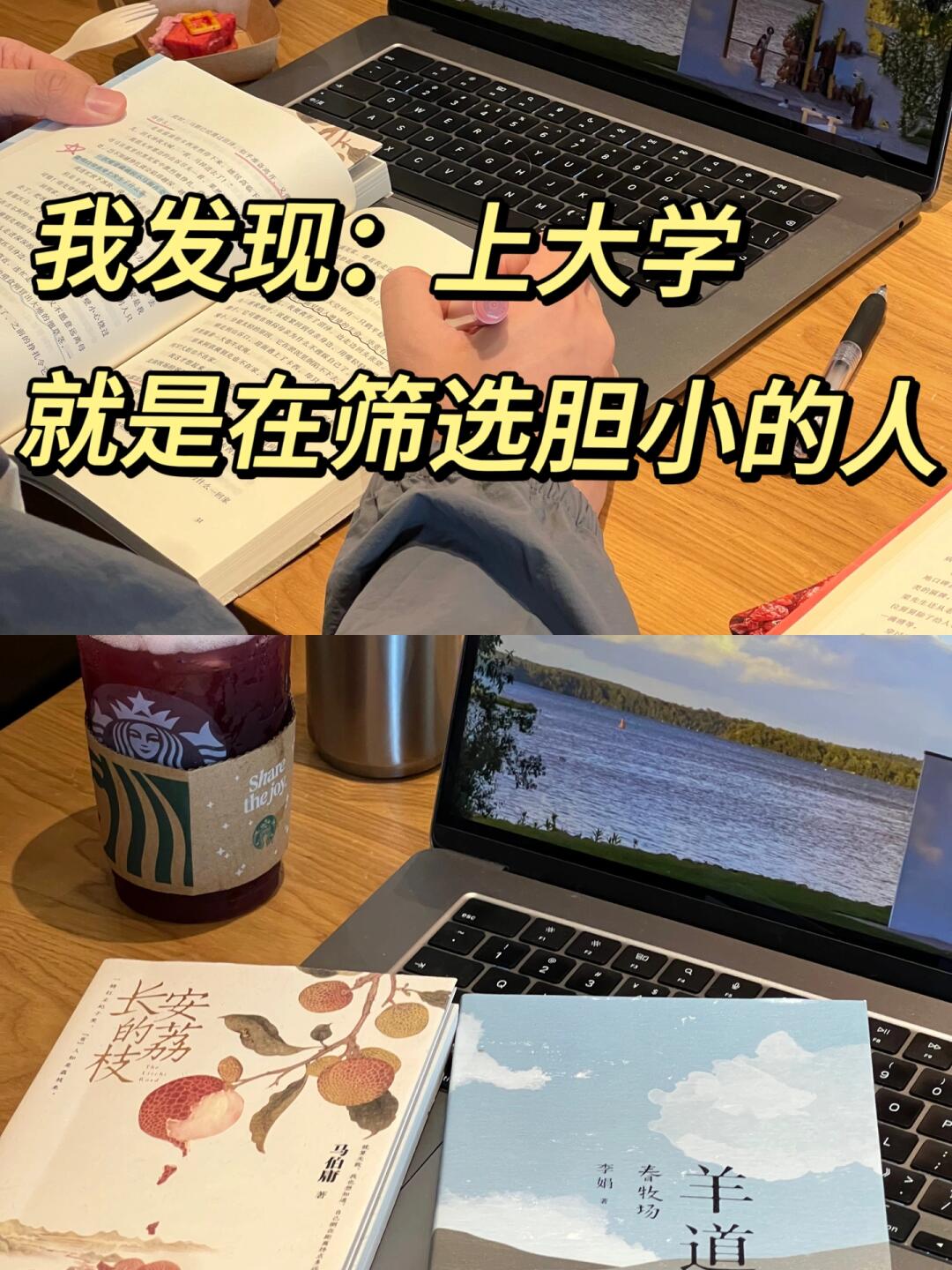 我发现：大学就是在筛选胆子小的人。