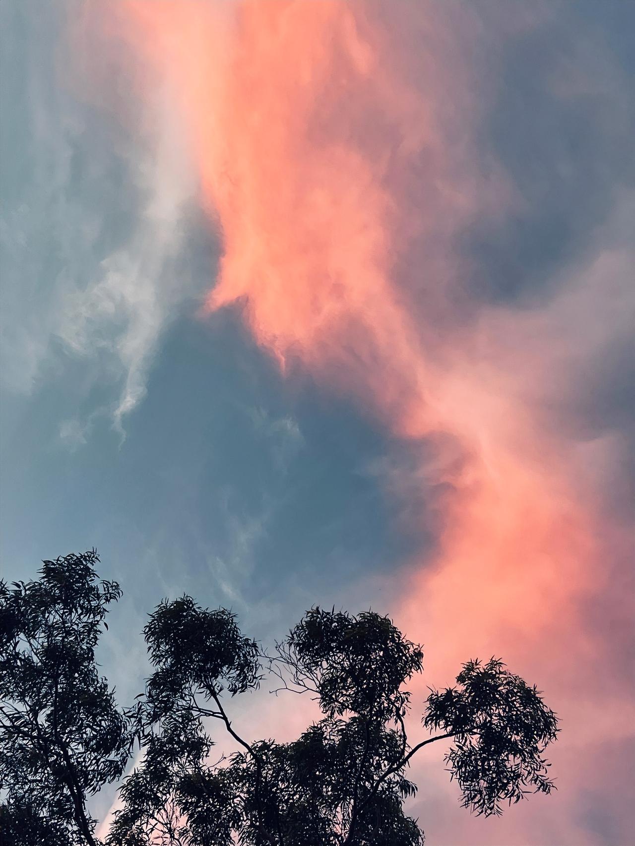 这说法太牛了！原来心念不只是虚无情绪，还是能改写生理、重塑健康、延缓衰老的真实力