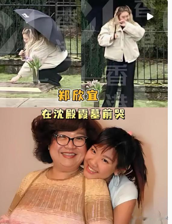 郑欣宜在母亲墓前痛哭
才发现肥姐已经去世18年了
沈殿霞生前怕女儿被人骗
做了遗