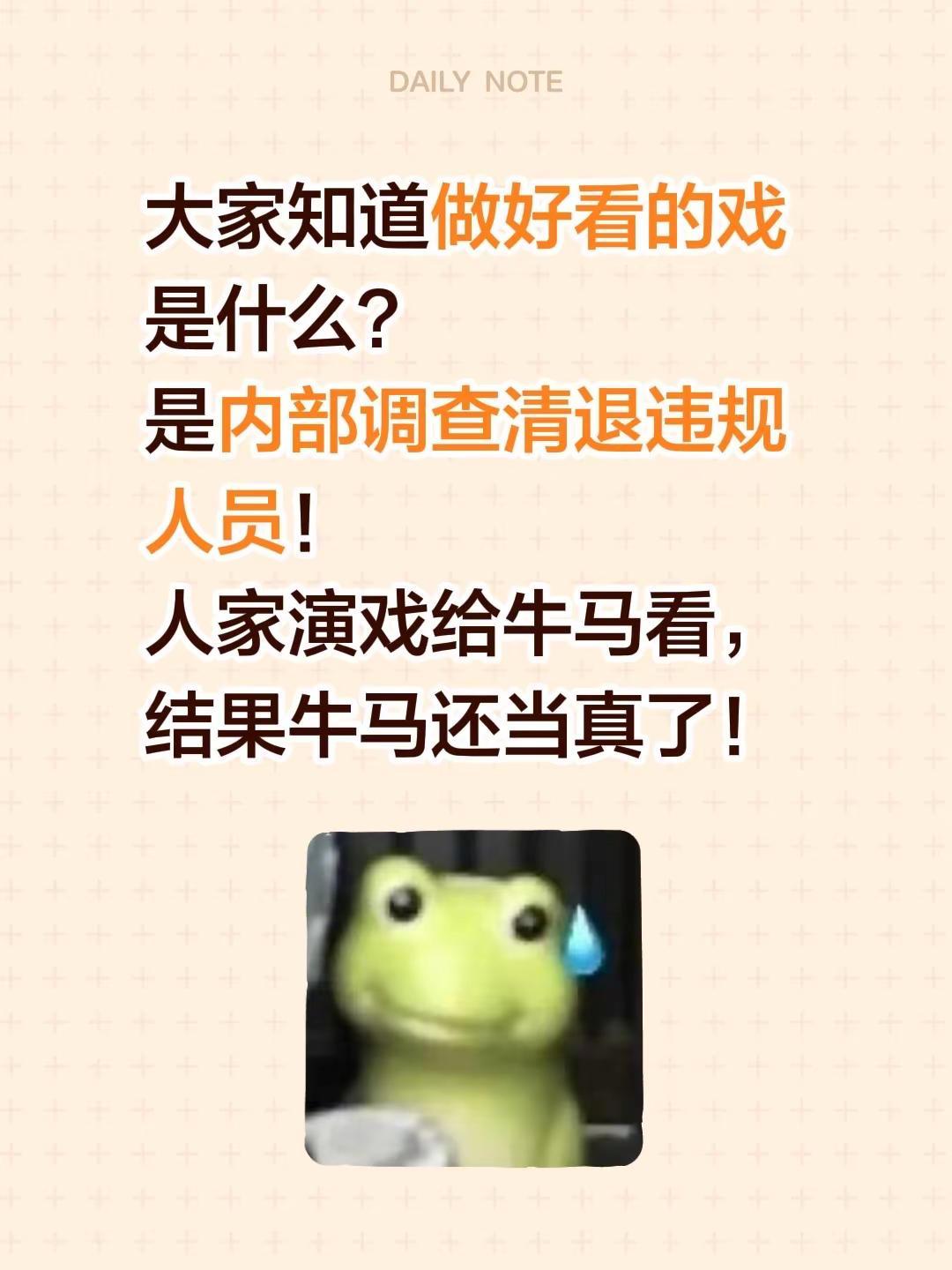 大家知道做好看的戏是什么？是内部调查清退违规人员！人家演戏给牛马看，结果牛马还当