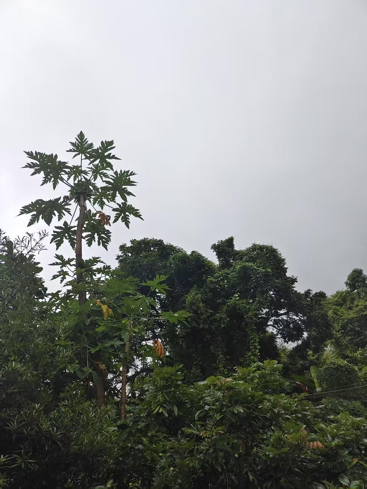 夫妻俩先走的人，不管是病逝还是意外，都是渡完了今生的劫。

这话听着扎心，但细想