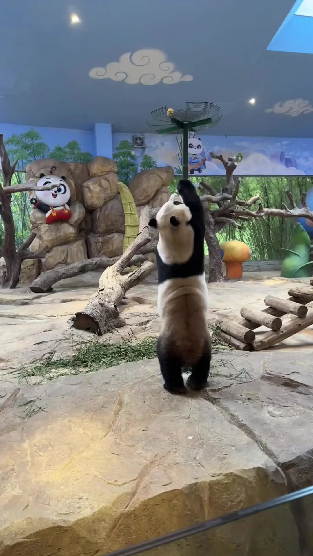 这就是live图的意义吗？把静态图片变。