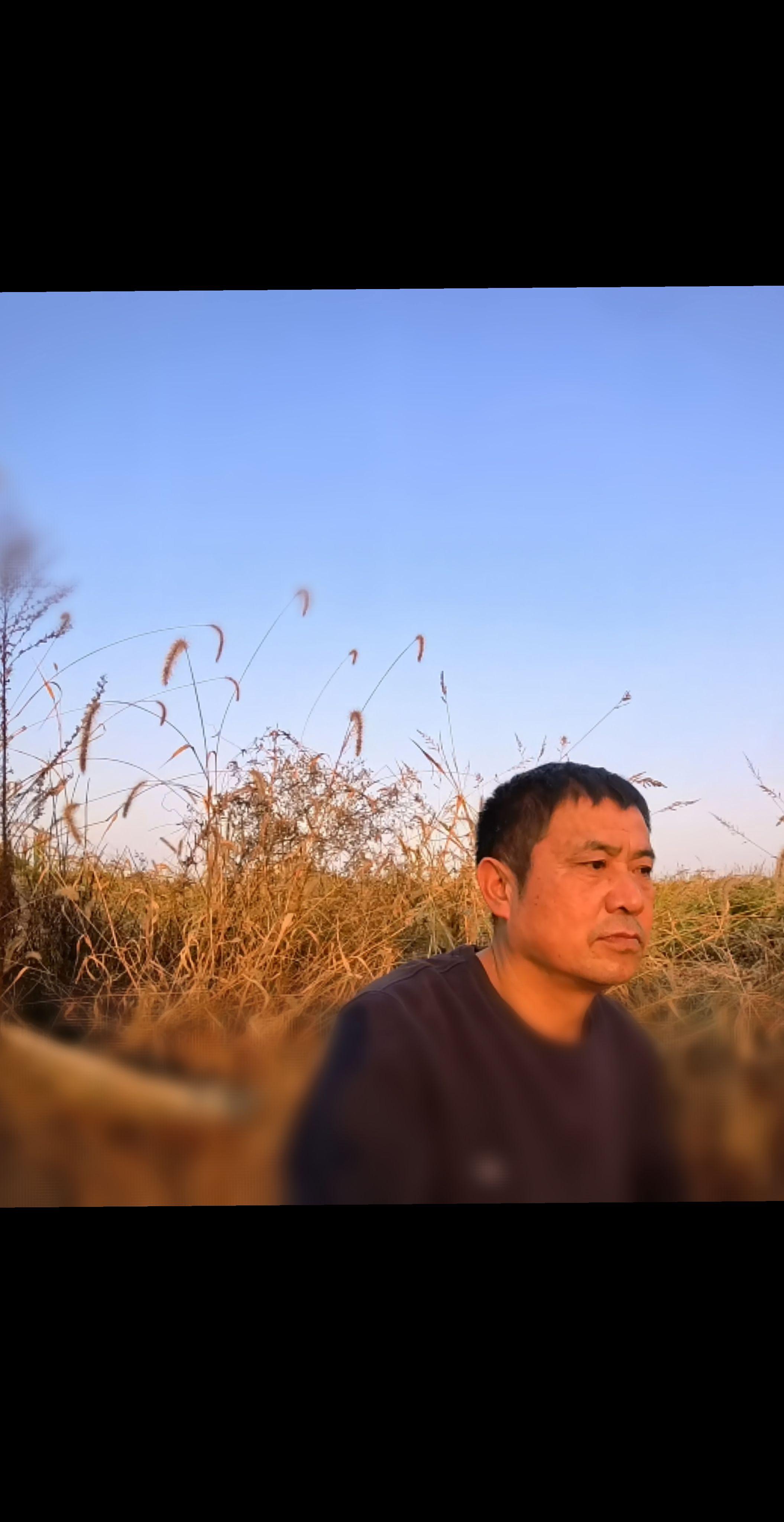 很能表达出打工想回家的心情