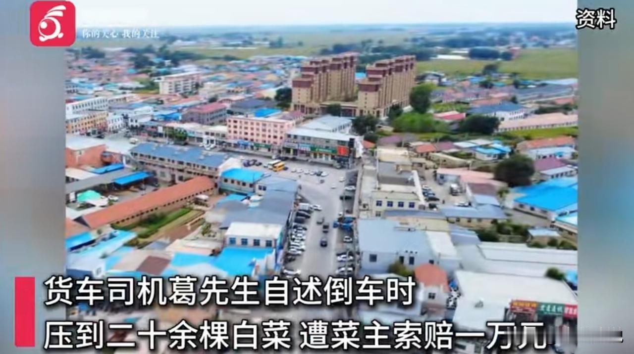 辽宁辽阳，男子开18米的货车去村里送货，人生地不熟，找来找去没找到掉头的地方。货