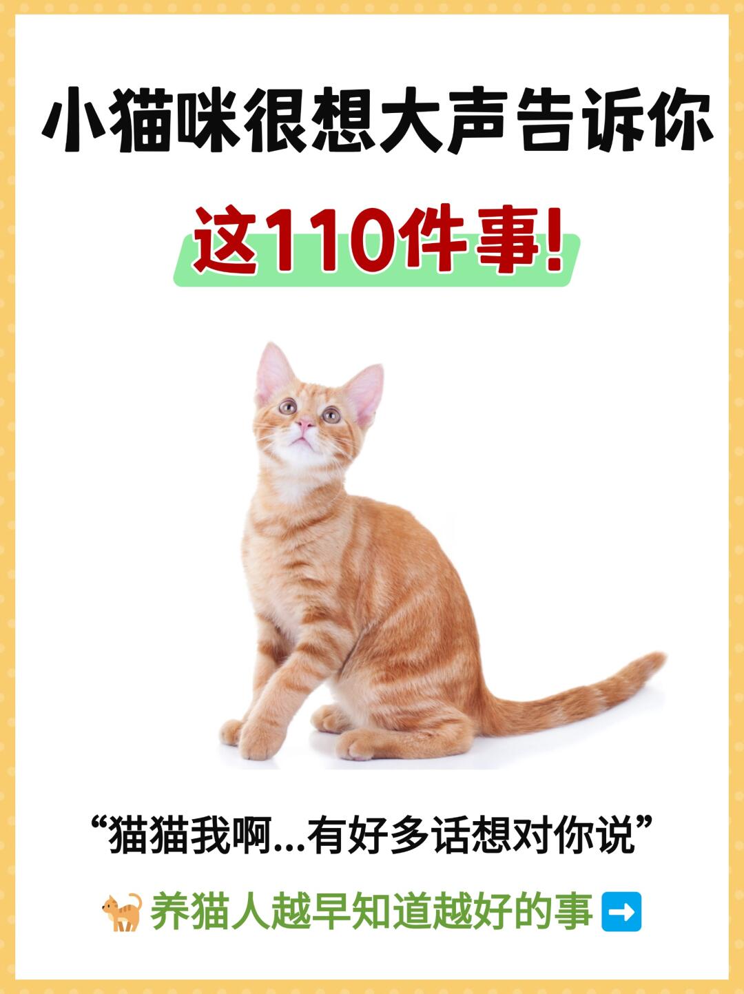 小猫咪很想大声告诉你的110件事❗️