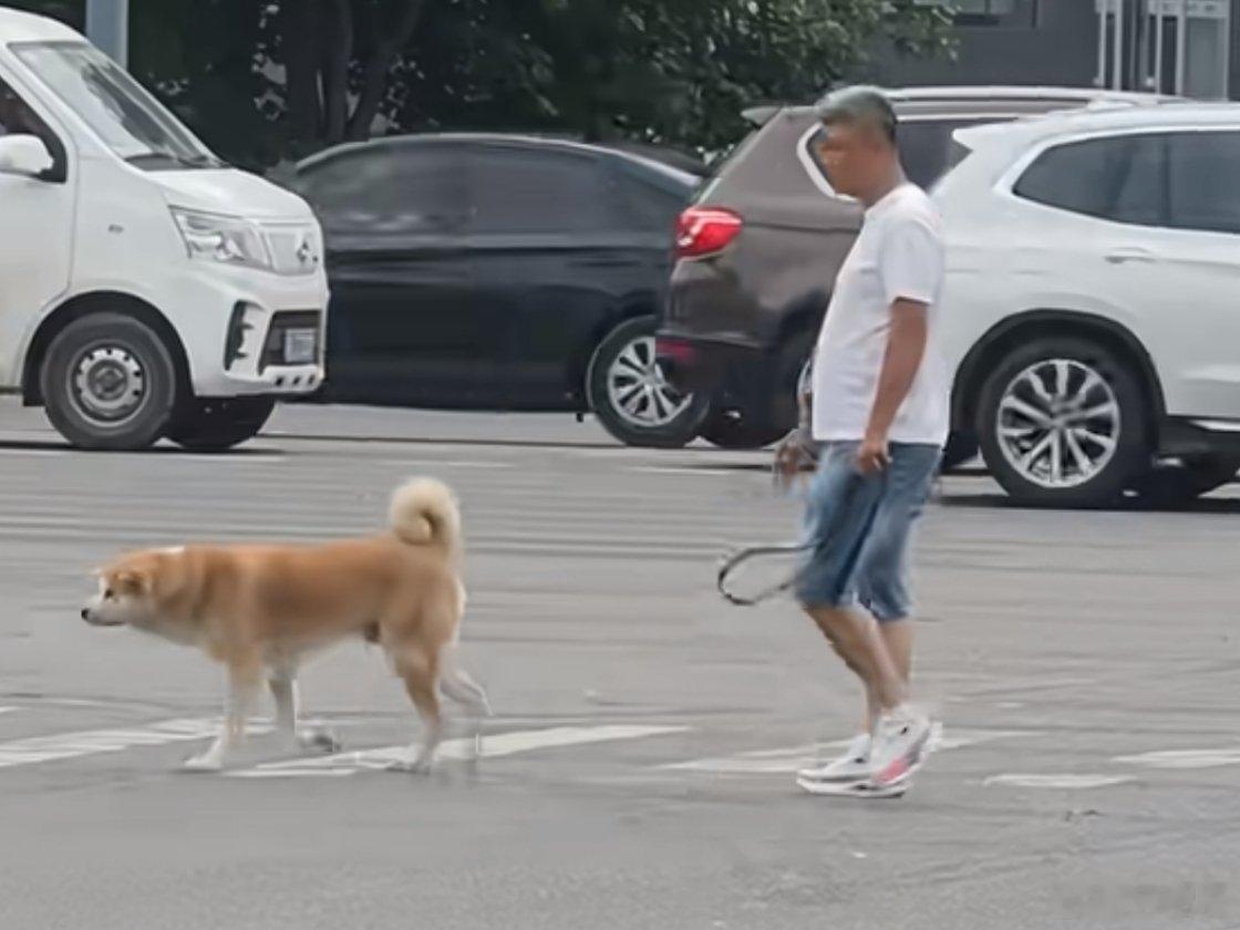 现在的狗都走后面了？ 