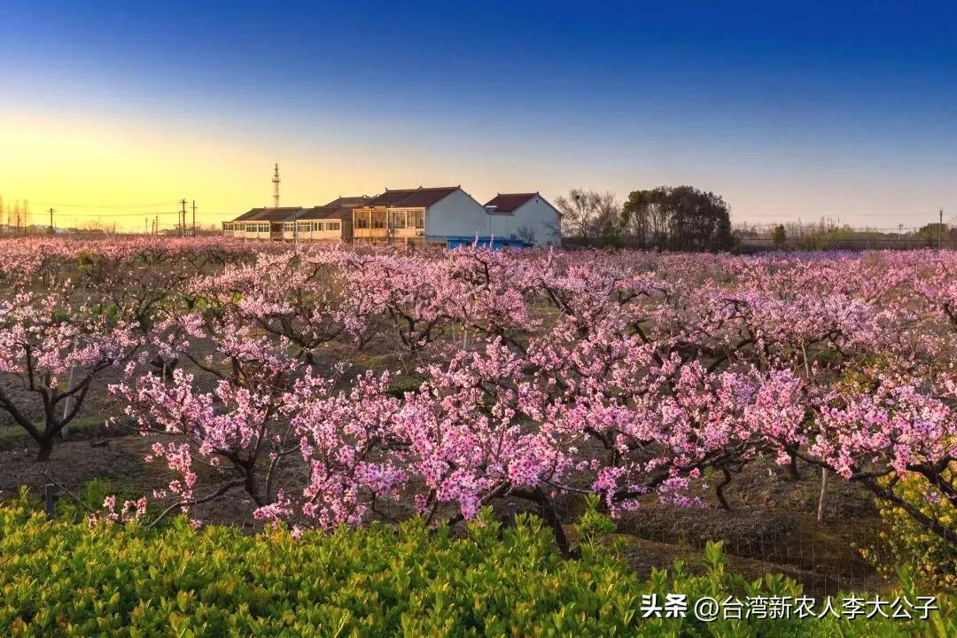 踏春出游，扑春约
春天小路好漫长
鲜花遍地笑脸扬。
满园春色关不住
心情愉悦赏春