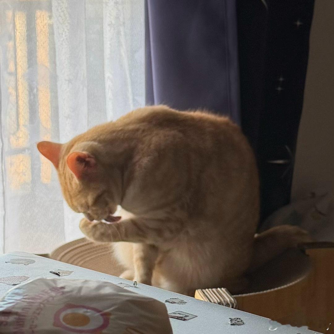 怖い 